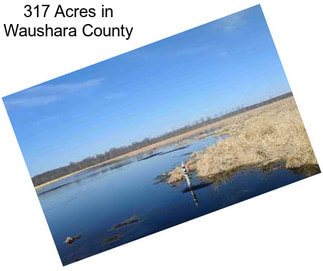 317 Acres in Waushara County