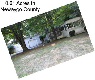 0.61 Acres in Newaygo County