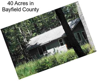 40 Acres in Bayfield County