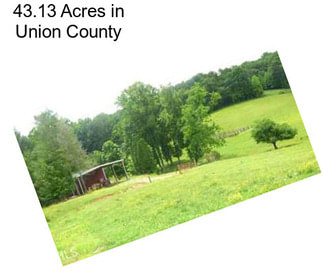 43.13 Acres in Union County