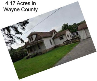 4.17 Acres in Wayne County