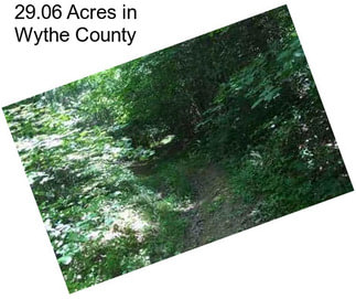 29.06 Acres in Wythe County