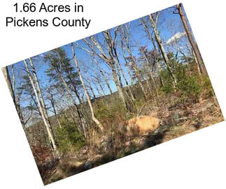 1.66 Acres in Pickens County