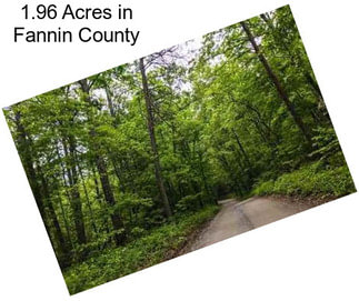 1.96 Acres in Fannin County