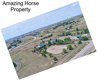 Amazing Horse Property