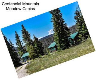 Centennial Mountain Meadow Cabins