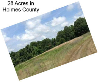 28 Acres in Holmes County