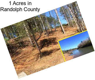 1 Acres in Randolph County