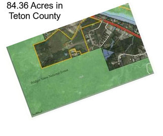 84.36 Acres in Teton County