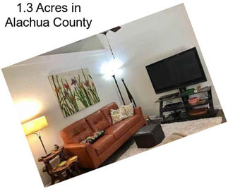 1.3 Acres in Alachua County
