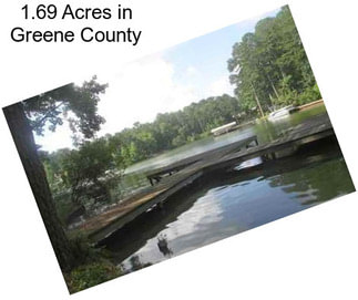1.69 Acres in Greene County