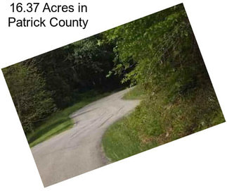 16.37 Acres in Patrick County