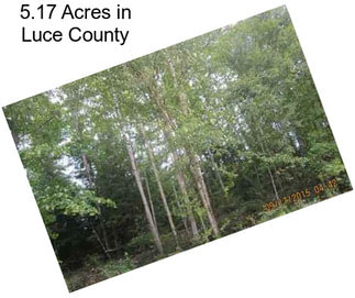 5.17 Acres in Luce County