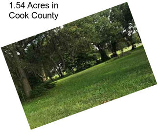 1.54 Acres in Cook County