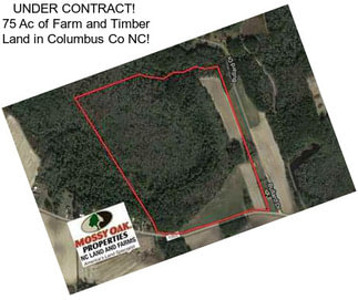 UNDER CONTRACT!  75 Ac of Farm and Timber Land in Columbus Co NC!