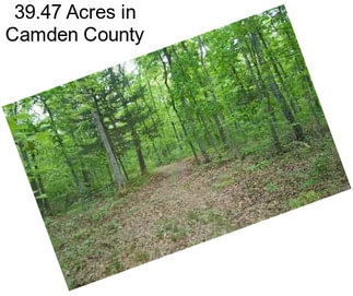 39.47 Acres in Camden County