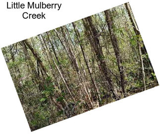 Little Mulberry Creek