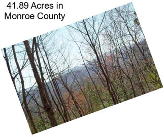 41.89 Acres in Monroe County