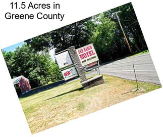 11.5 Acres in Greene County