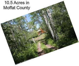 10.5 Acres in Moffat County