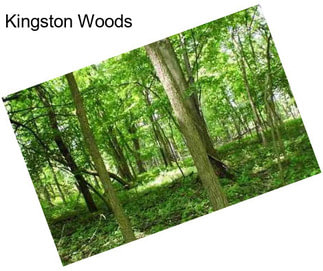 Kingston Woods
