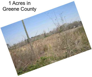 1 Acres in Greene County