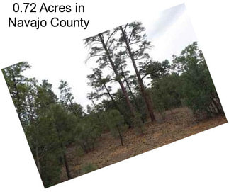 0.72 Acres in Navajo County