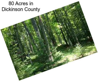 80 Acres in Dickinson County