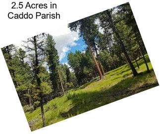 2.5 Acres in Caddo Parish