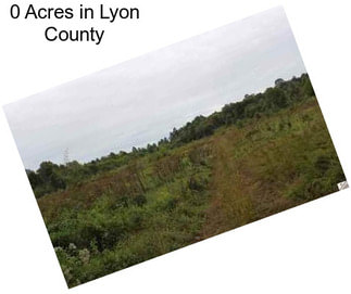 0 Acres in Lyon County