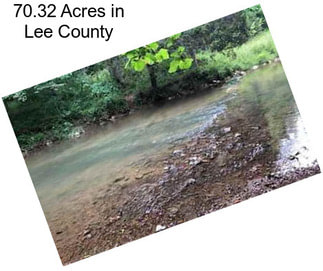70.32 Acres in Lee County