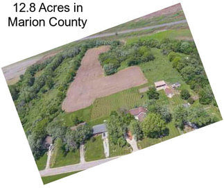 12.8 Acres in Marion County