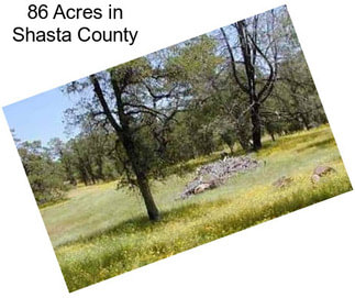 86 Acres in Shasta County