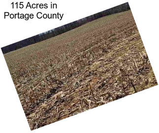 115 Acres in Portage County