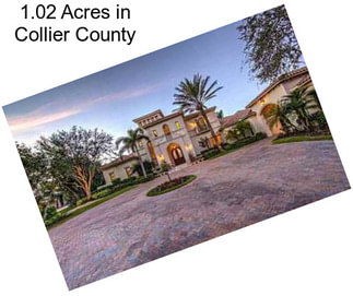 1.02 Acres in Collier County