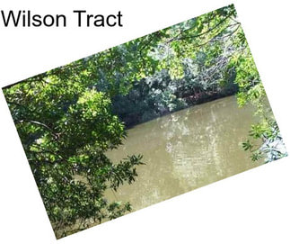 Wilson Tract