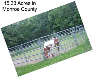 15.33 Acres in Monroe County