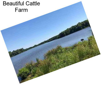 Beautiful Cattle Farm