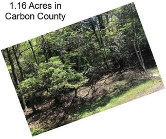 1.16 Acres in Carbon County