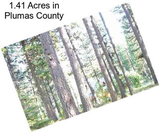 1.41 Acres in Plumas County