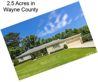 2.5 Acres in Wayne County