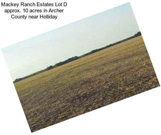 Mackey Ranch Estates Lot D approx. 10 acres in Archer County near Holliday