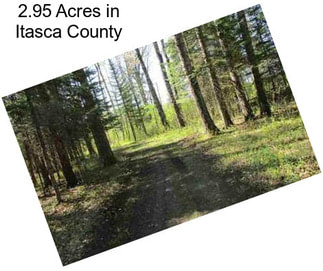 2.95 Acres in Itasca County