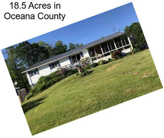 18.5 Acres in Oceana County