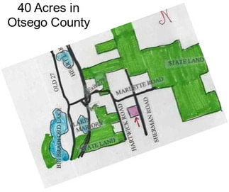 40 Acres in Otsego County