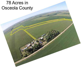 78 Acres in Osceola County