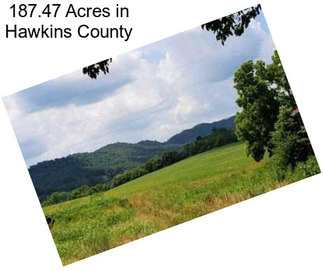 187.47 Acres in Hawkins County