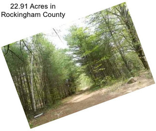 22.91 Acres in Rockingham County
