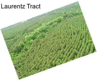 Laurentz Tract