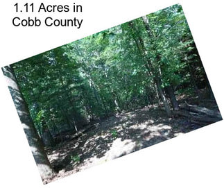 1.11 Acres in Cobb County